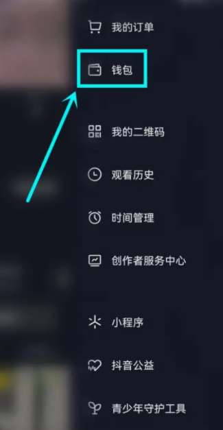 抖音抖币充值记录怎么看