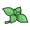 《宝可梦朱紫》爽朗薄荷基本介绍