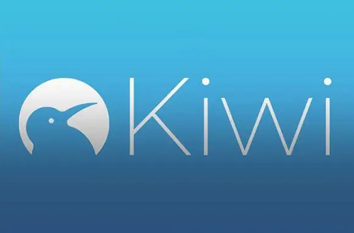 kiwi浏览器扩展插件下载[kiwi浏览器如何安装插件]