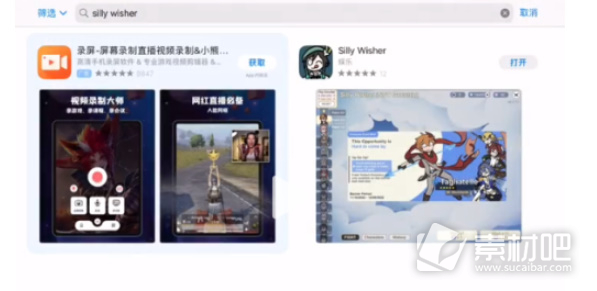 sillywisher游戏进入方法(sillywisher游戏如何进入)