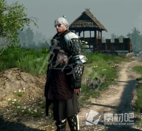 巫师3次时代版新增服装数值介绍(巫师3次时代版新增服装数值是什么)