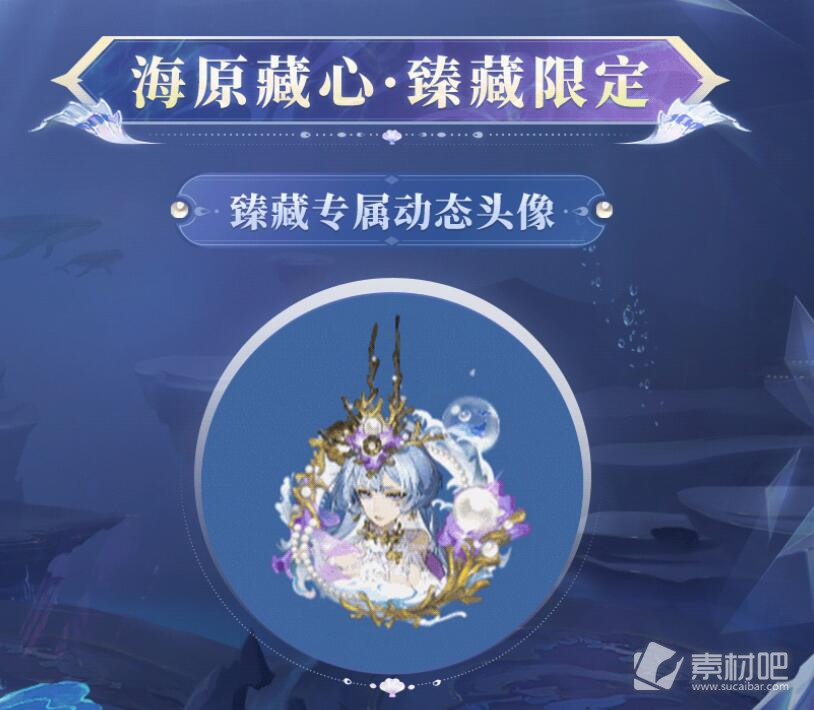 阴阳师千姬海原藏心典藏皮肤价格详解(阴阳师千姬海原藏心典藏皮肤价格是多少)