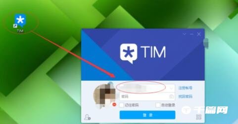 Tim怎么建群[电脑tim群课堂在哪里]