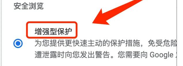 谷歌浏览器允许加载项怎么设置[谷歌浏览器增强版]