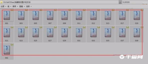 acdsee如何批量编辑图片[acdsee怎么批量处理图片大小]