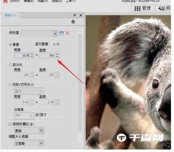 acdsee怎么改图片分辨率大小[怎么用acdsee修改分辨率dpi]