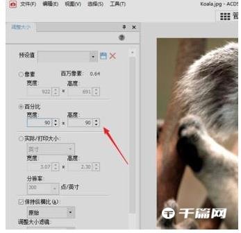 acdsee怎么改图片分辨率大小[怎么用acdsee修改分辨率dpi]