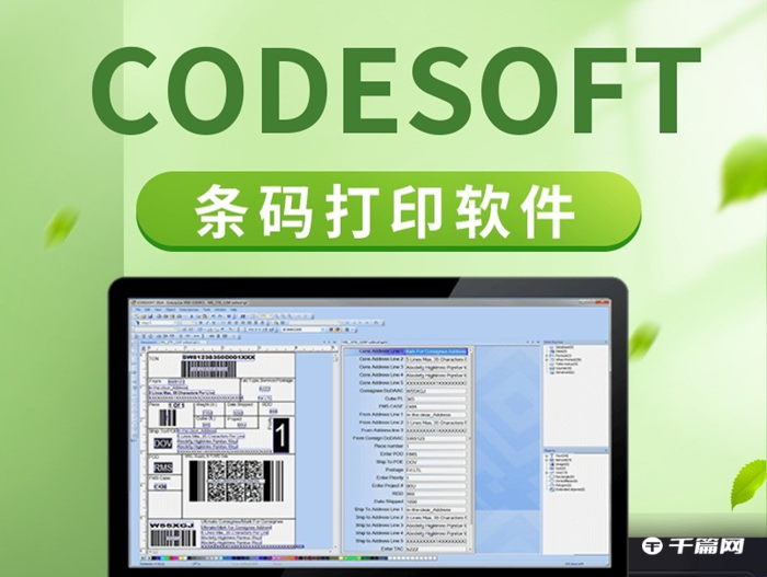 codesoft教程[codesoft6教程]