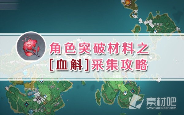 原神九条裟罗突破材料血斛采集路线一览(原神九条裟罗突破材料血斛采集路线图文攻略)