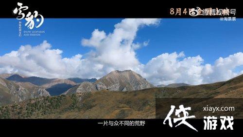 纪录片雪豹和她的朋友们终极预告 8月4日上映