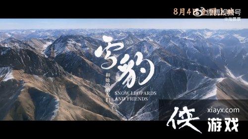 纪录片雪豹和她的朋友们终极预告 8月4日上映