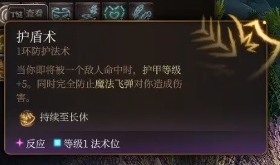 博德之门3预言法师BD攻略(博德之门3预言法师BD分享)