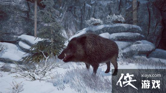 狩猎、建造、丰富的生物 冬日幸存者新情报公开