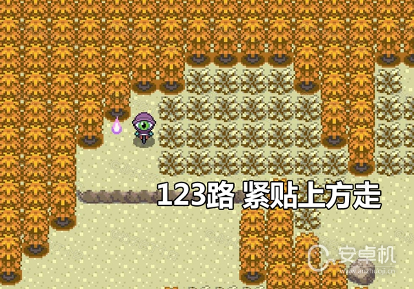 Pokemmo2023万圣节丰源区域全鬼火分布位置在哪，Pokemmo2023万圣节丰源区域全鬼火分布位置详情