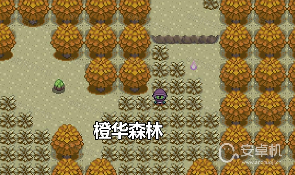 Pokemmo2023万圣节丰源区域全鬼火分布位置在哪，Pokemmo2023万圣节丰源区域全鬼火分布位置详情