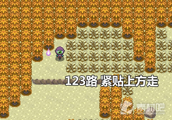 Pokemmo2023万圣节丰源区域全鬼火分布一览(Pokemmo2023万圣节丰源区域全鬼火分布大全)