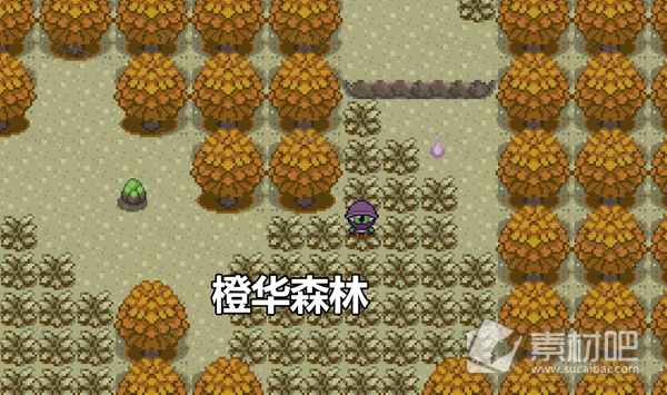 Pokemmo2023万圣节丰源区域全鬼火分布一览(Pokemmo2023万圣节丰源区域全鬼火分布大全)