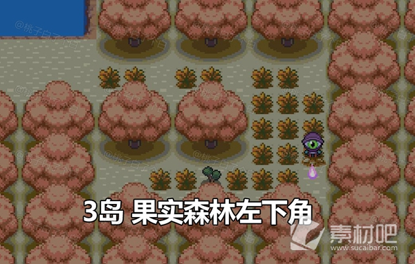 Pokemmo2023万圣节关都区域全鬼火分布大全(Pokemmo2023万圣节关都区域全鬼火分布一览)