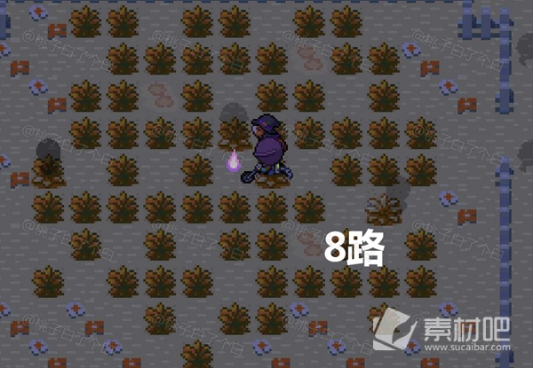 Pokemmo2023万圣节关都区域全鬼火分布大全(Pokemmo2023万圣节关都区域全鬼火分布一览)