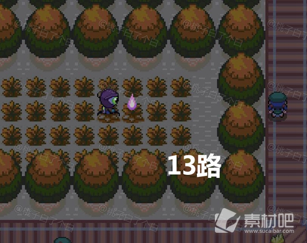 Pokemmo2023万圣节关都区域全鬼火分布大全(Pokemmo2023万圣节关都区域全鬼火分布一览)