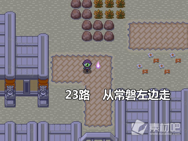 Pokemmo2023万圣节关都区域全鬼火分布大全(Pokemmo2023万圣节关都区域全鬼火分布一览)