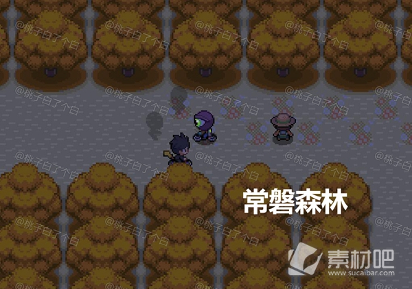 Pokemmo2023万圣节关都区域全鬼火分布大全(Pokemmo2023万圣节关都区域全鬼火分布一览)