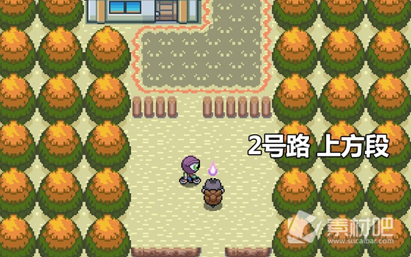 Pokemmo2023万圣节关都区域全鬼火分布大全(Pokemmo2023万圣节关都区域全鬼火分布一览)