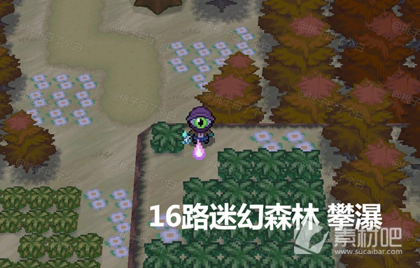 Pokemmo2023万圣节合众全鬼火分布地点(Pokemmo2023万圣节合众全鬼火分布大全)