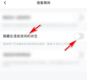 皮皮陪玩如何隐藏语音房间状态