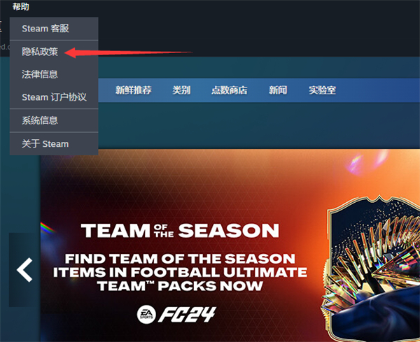 steam隐私反馈怎么弄