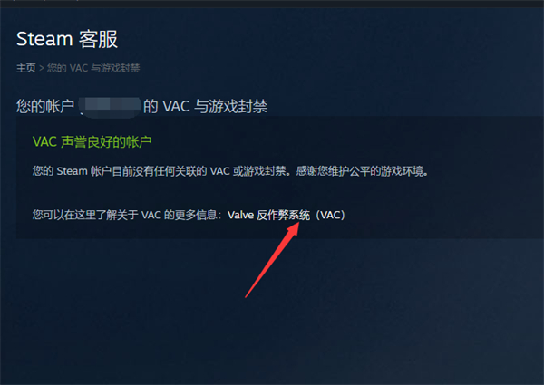 steam怎么看哪些游戏启用了VAC