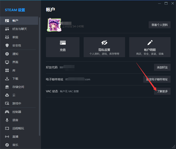 steam VAC状态怎么看