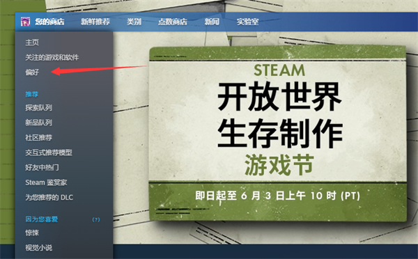 steam怎么设置商店偏好