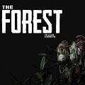 the forest