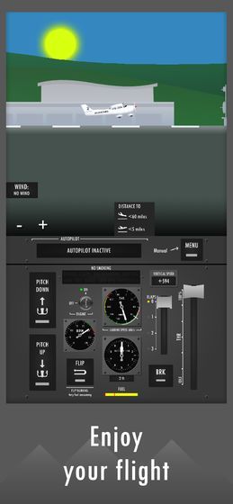 Flight Simulator 2d - realistic sandbox simulation