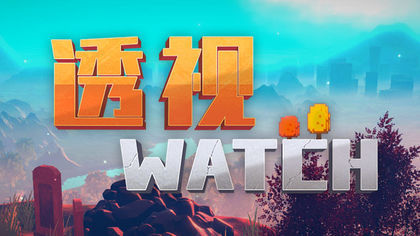 透视Watch