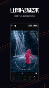 Live Photo图片截图2