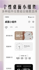 桌面小组件截图3