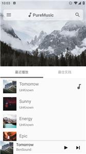 puremusic截图3