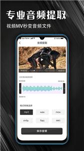 MP3音频提取器截图2