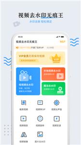 视频去水印无痕王截图3