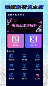 视频去水印解析截图3