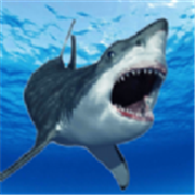 鲨鱼的恐怖袭击手机版v1.0