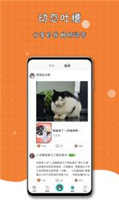 橘子猫轻小说截图2