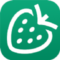 草莓记账本平台app消费记录软件