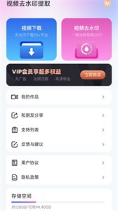 视频去水印提取截图2