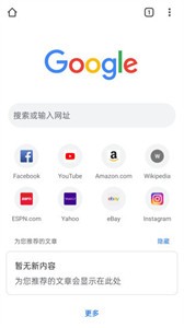 谷歌浏览器国际版截图3