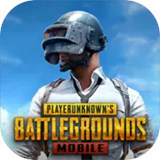 pubgm官网版国际服