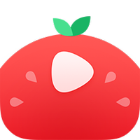 番茄视频官方最新版软件