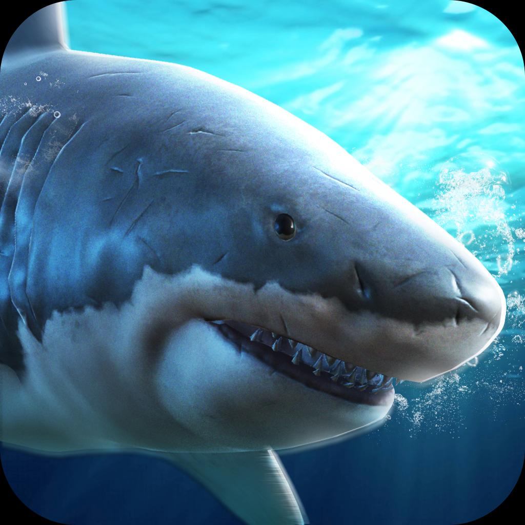 真实模拟鲨鱼捕食安卓版